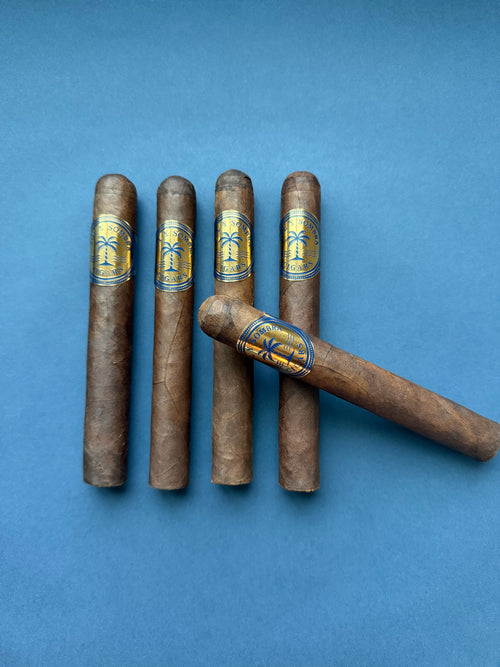 Oasis Maduro 5 Pack